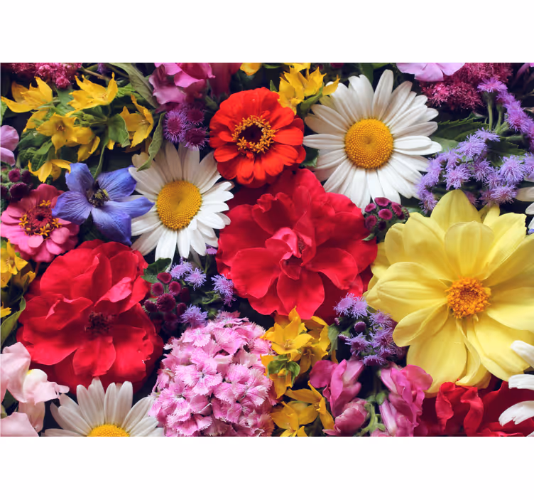 Fotomurale fiori composizione di fiori vivaci - TenStickers