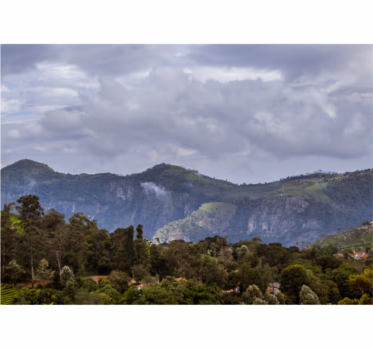 Fotomurale paesaggi vista montagna serene - TenStickers