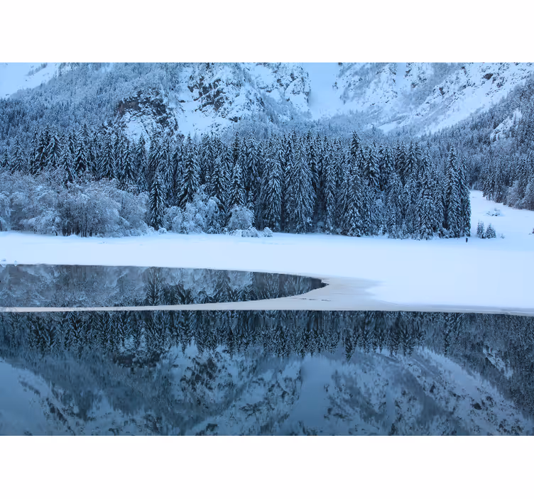 Fotomurale paesaggi paesaggio invernale sereno - TenStickers