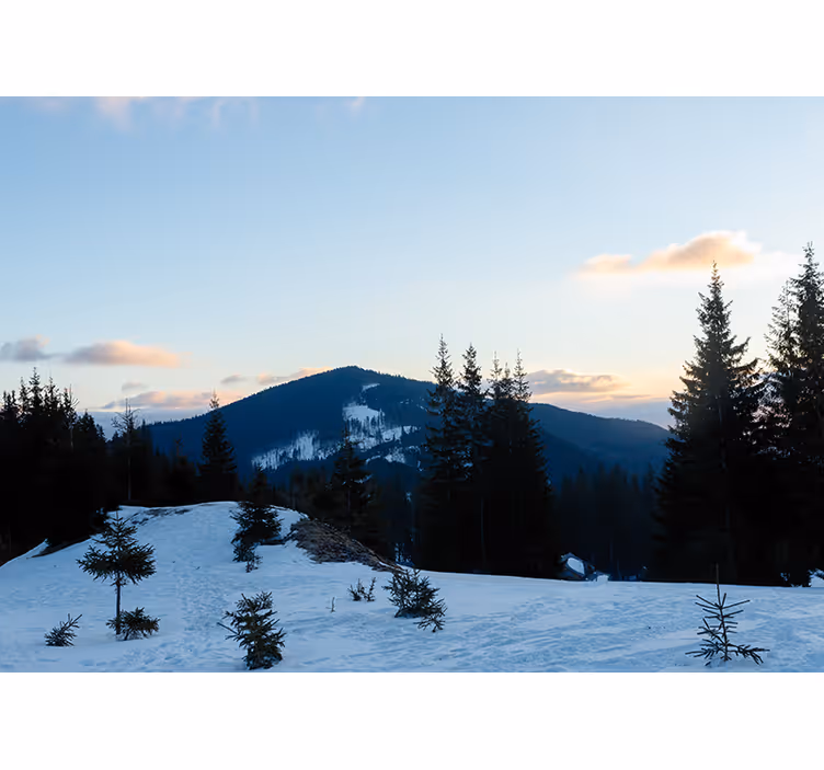 Fotomurale montagna paesaggio di cime gelate - TenStickers