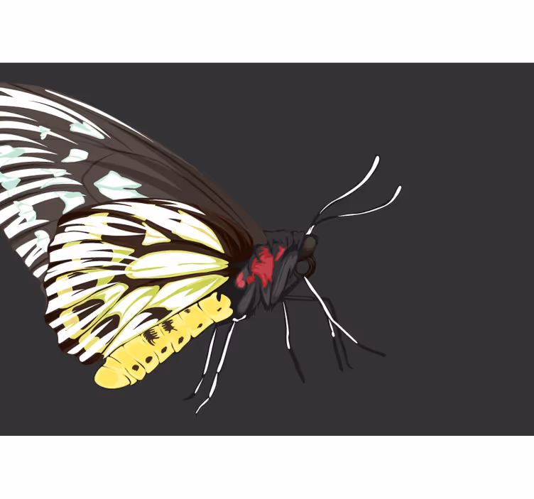 Fotomurale fiori disegno farfalla gialla - TenStickers