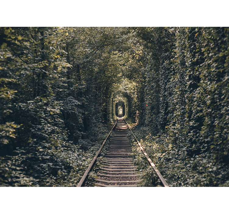 Fotomurale paesaggi tunnel naturale ferroviario - TenStickers
