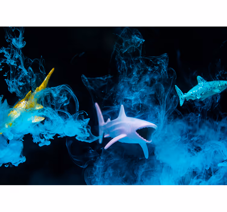 Fotomurale animali illustrazione squalo colorato - TenStickers