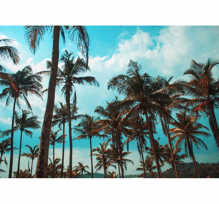 Fotomurali natura paradiso delle palme - TenStickers