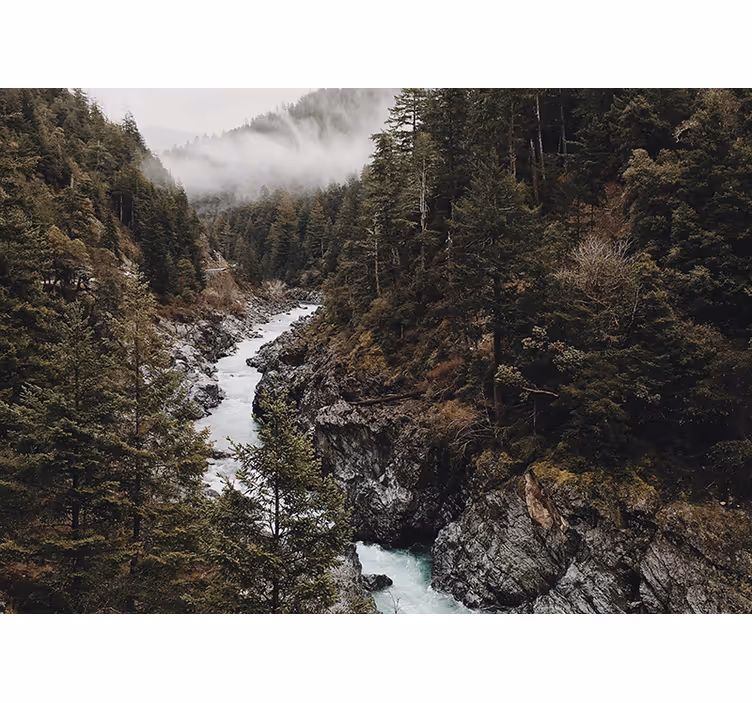 Fotomurali natura paesaggio fluviale maestoso - TenStickers
