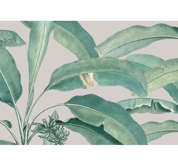 Fotomurali natura disposizione di foglie tropicali - TenStickers