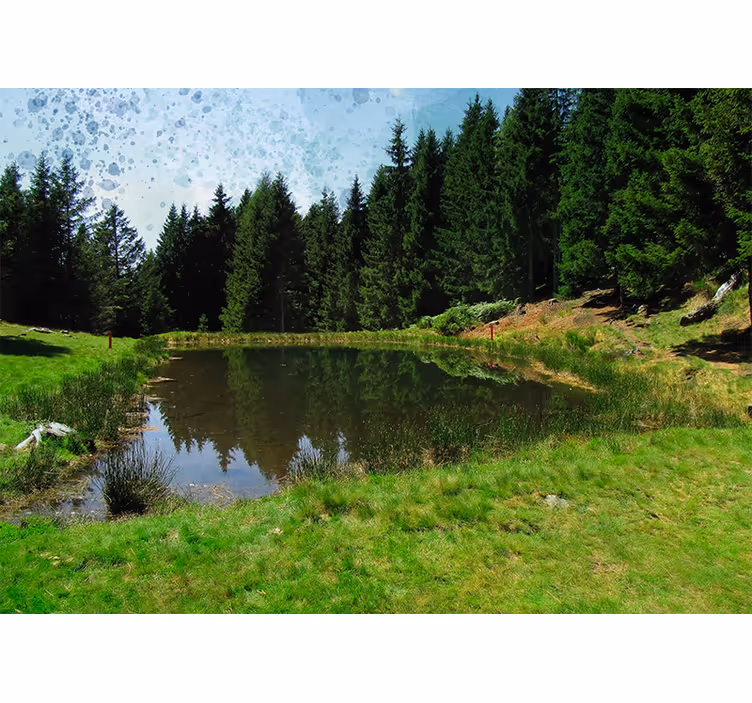 Fotomurale paesaggi vista di una foresta tranquilla - TenStickers