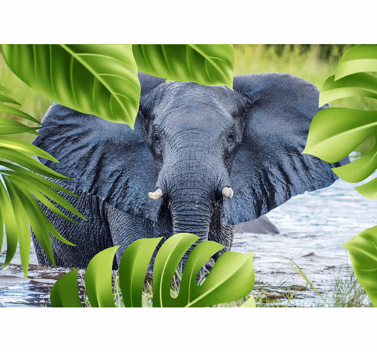 Fotomurale animali esperienza elefante regale - TenStickers