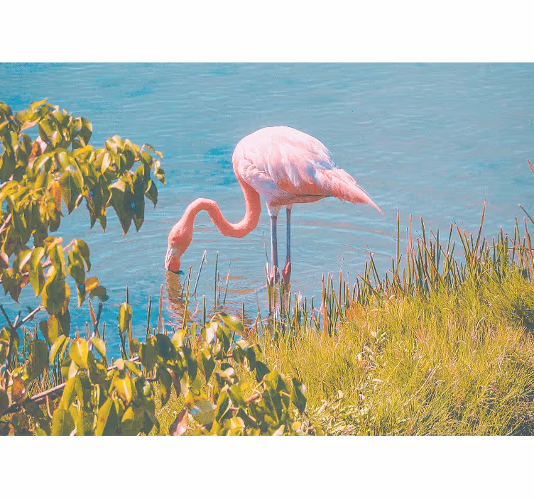 Fotomurale animali serenità fenicottero rosa - TenStickers