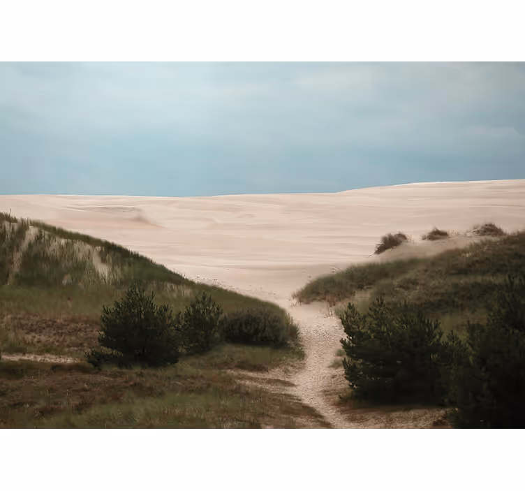 Fotomurale paesaggi sentiero delle dune di sabbia - TenStickers