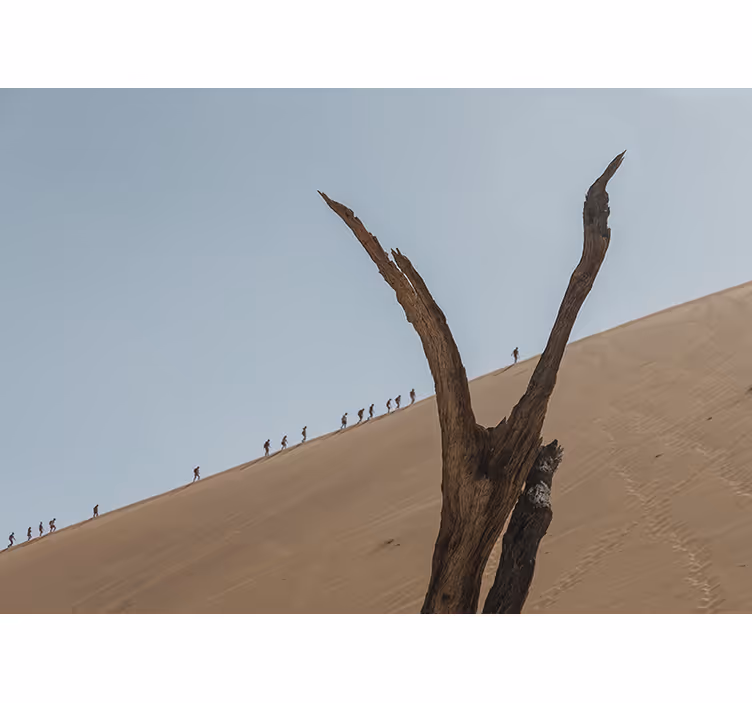 Fotomurale deserto silhouette di escursionisti sulle dune - TenStickers