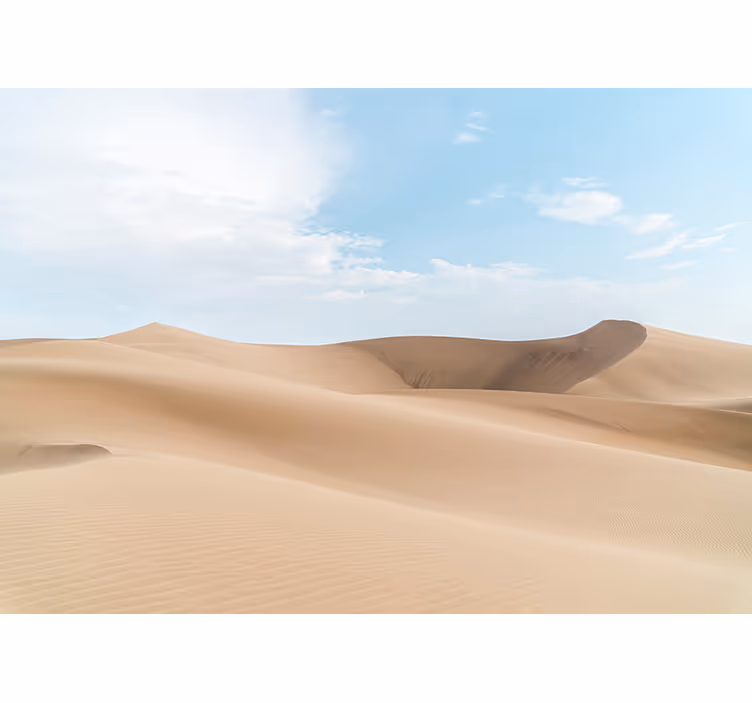 Fotomurale deserto dune di sabbia sereni - TenStickers