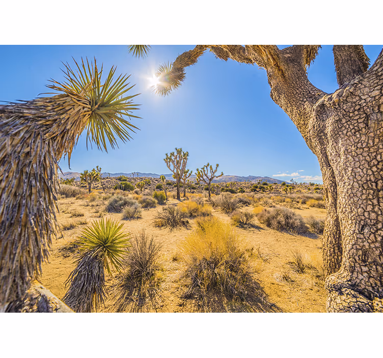 Fotomurale montagna paesaggio oasi desertica - TenStickers