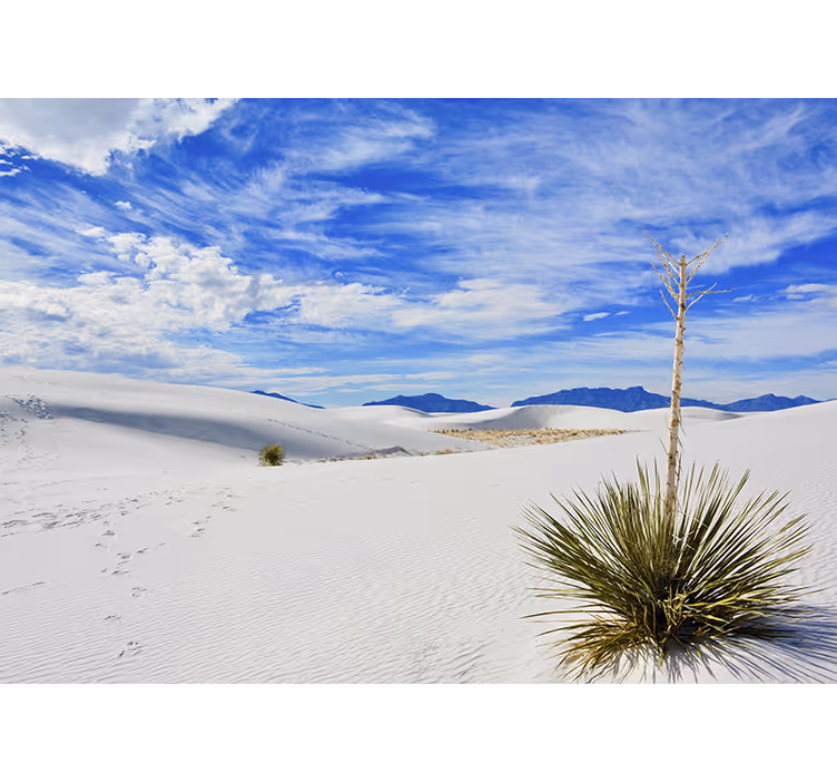Fotomurale paesaggi vista desertica - TenStickers
