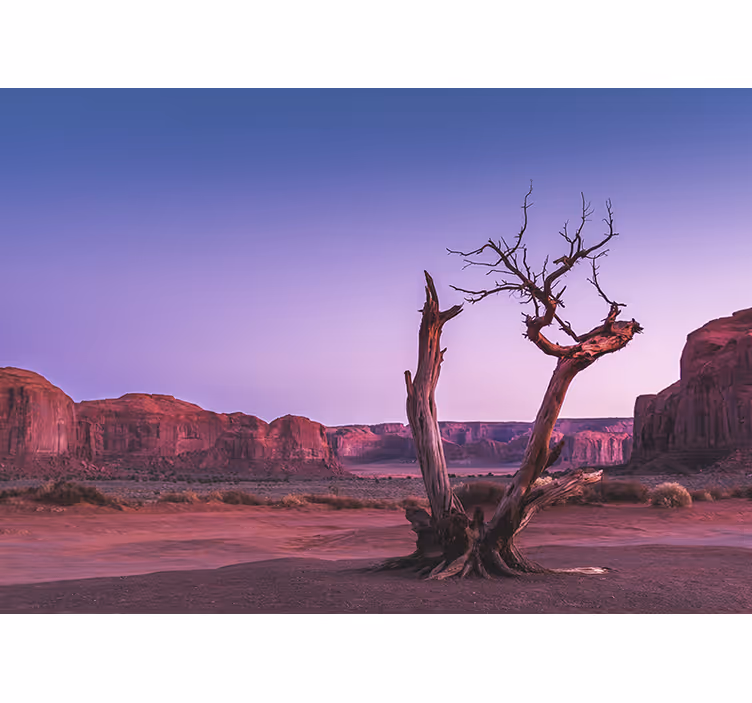 Fotomurale paesaggi struttura di pietra del deserto - TenStickers