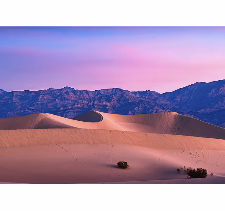 Fotomurale deserto paesaggio dune dorate - TenStickers