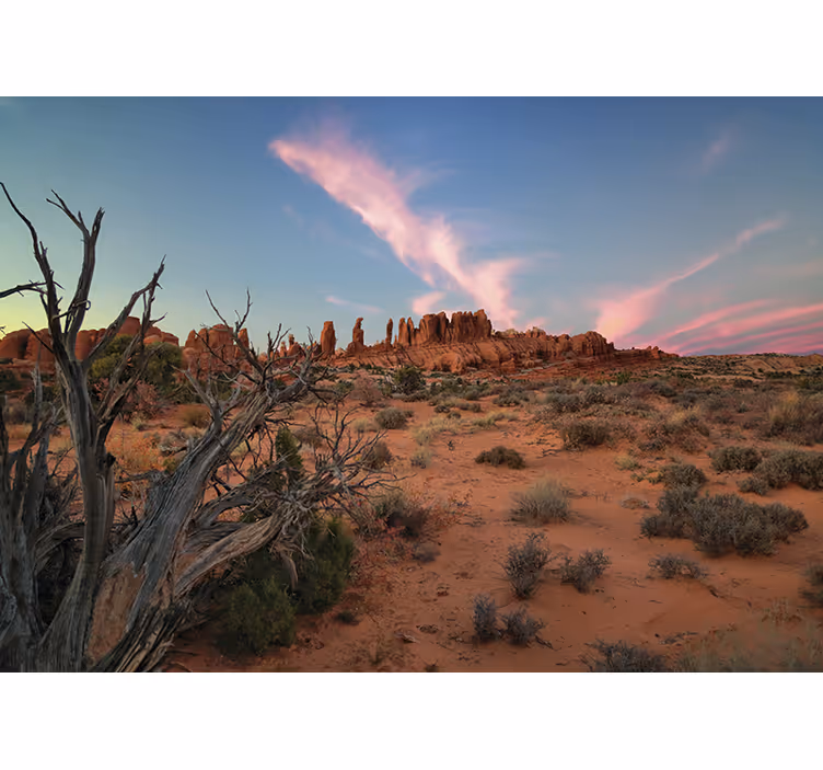 Fotomurale paesaggi formazioni rocciose desertiche - TenStickers