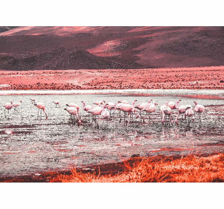 Fotomurali animali diversi scena habitat fenicotteri - TenStickers