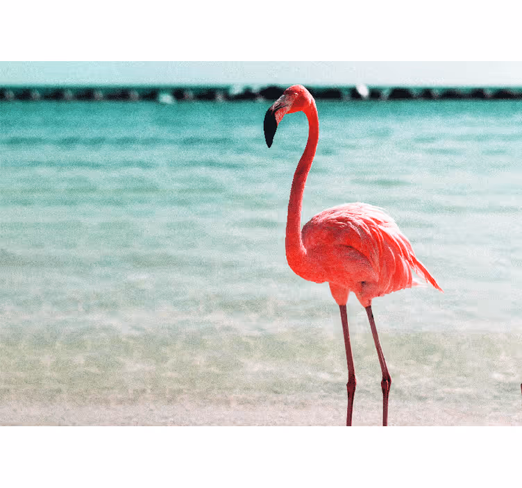 Fotomurale animali posizione del flamingo elegante - TenStickers