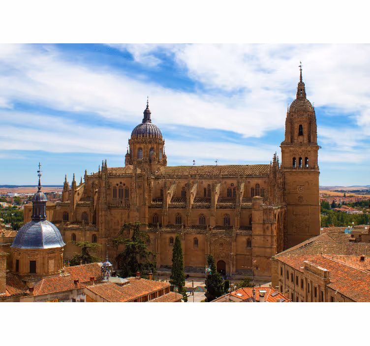 Fotomurale di madrid vista della cattedrale storica - TenStickers