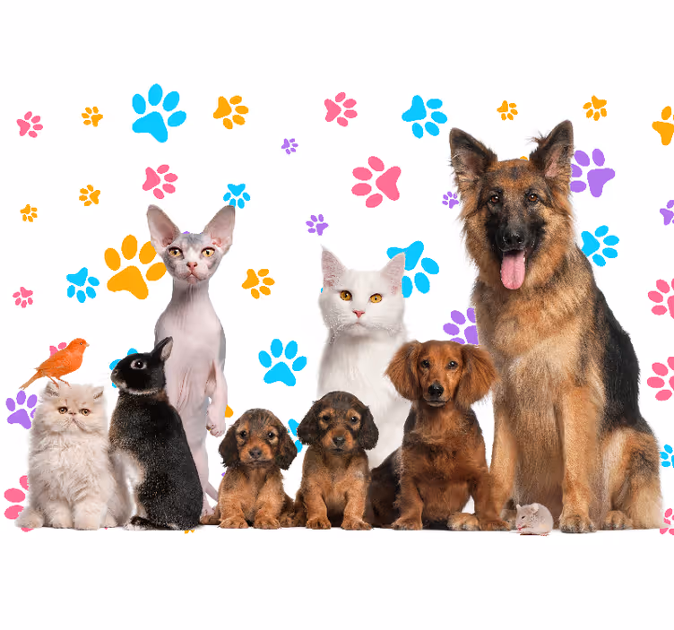 Fotomurale animali compagni felici di casa - TenStickers