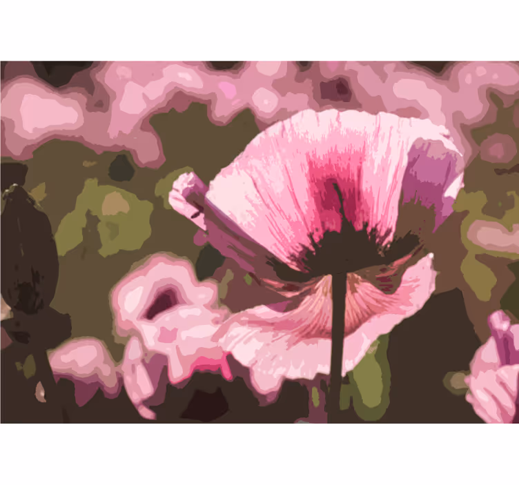 Fotomurale papaveri fioritura di papaveri rosa - TenStickers