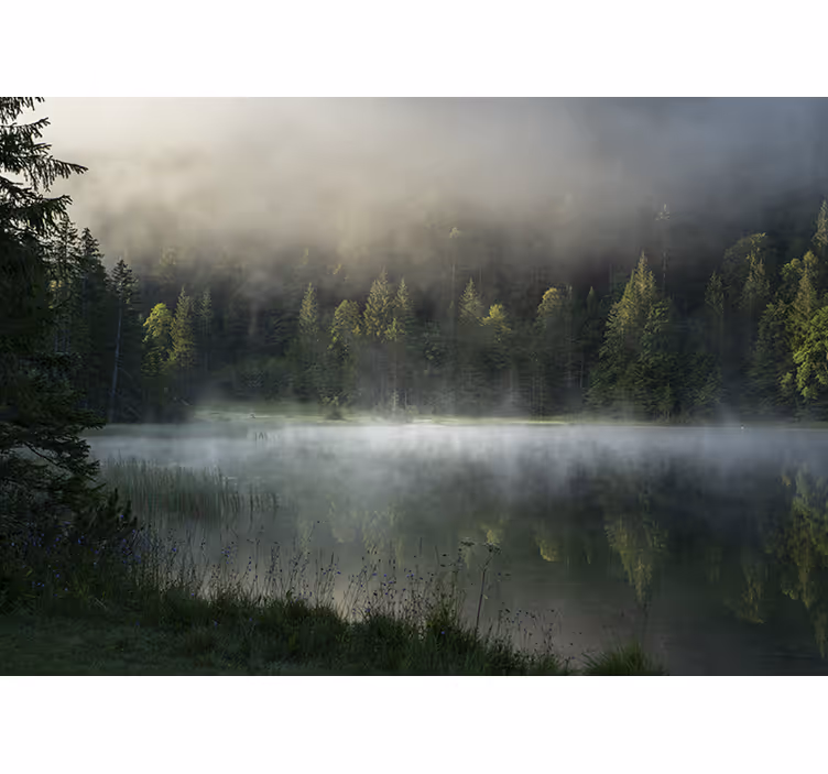 Fotomurali natura lago nebbioso e sereno - TenStickers