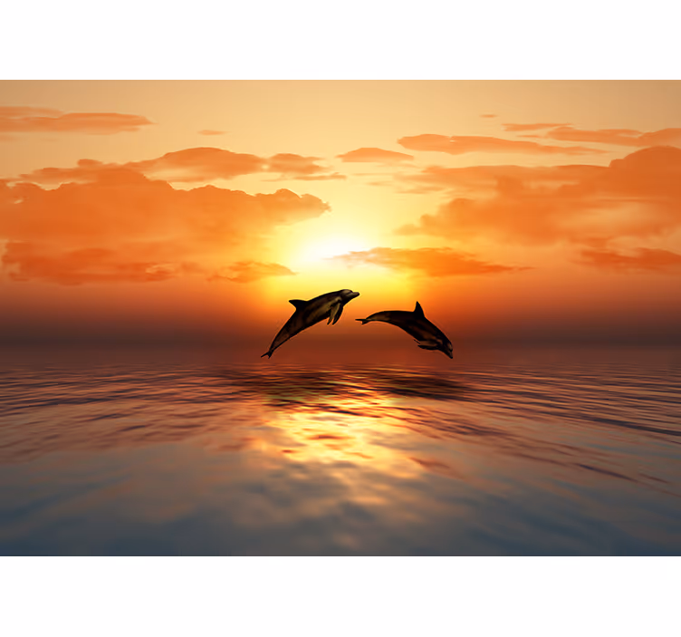Fotomurale animali delfini che saltano al tramonto - TenStickers