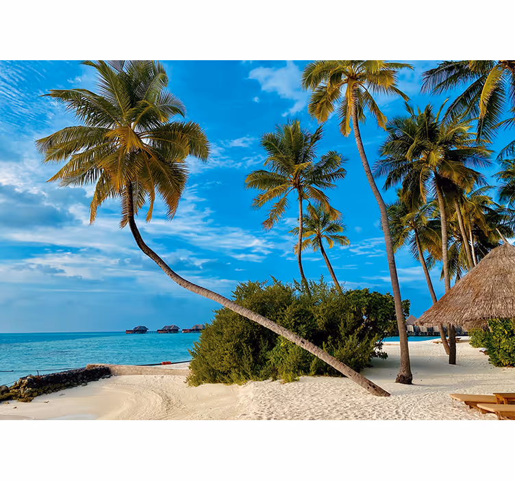 Fotomurali natura paesaggio di palme tropicali - TenStickers