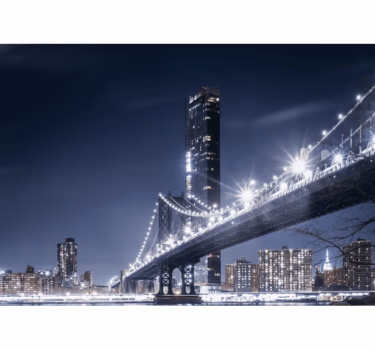 Fotomurale new york vista notturna ponte brooklyn - TenStickers