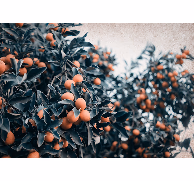 Fotomurale fiori ramo di agrumi - TenStickers