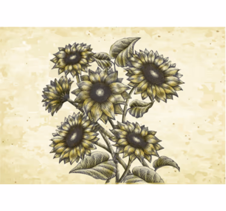 Fotomurale fiori composizione floreale girasoli - TenStickers