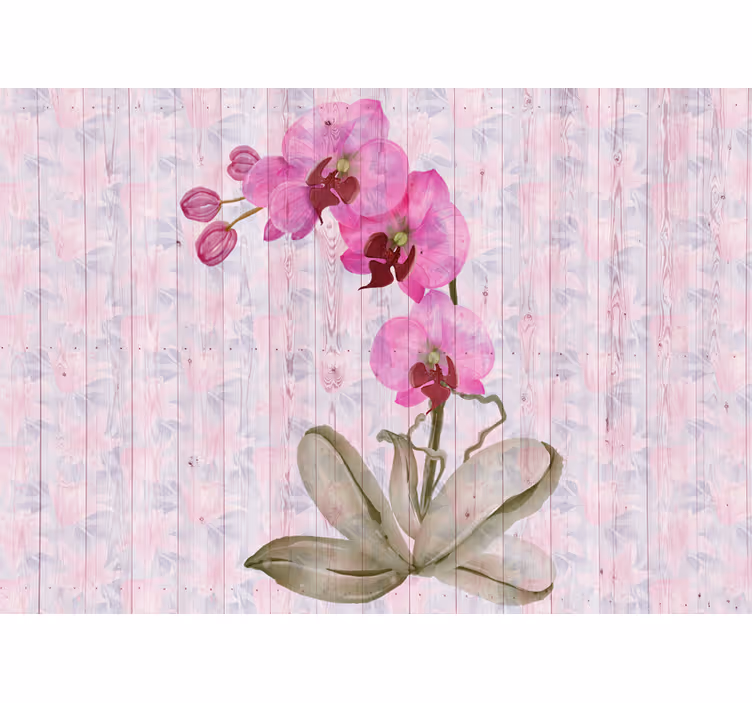 Fotomurale fiori fioriture di orchidee rosa - TenStickers