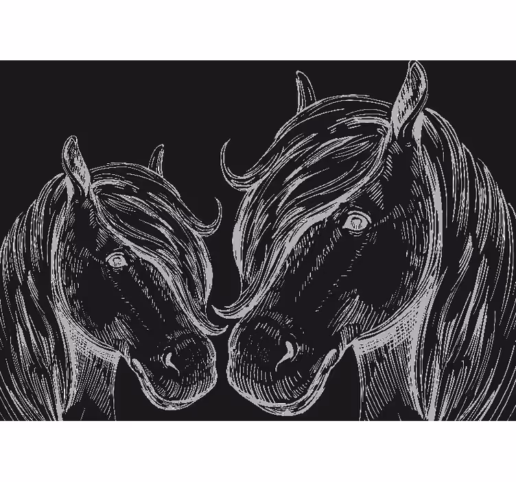 Fotomurale animali ritratti eleganti di cavalli - TenStickers