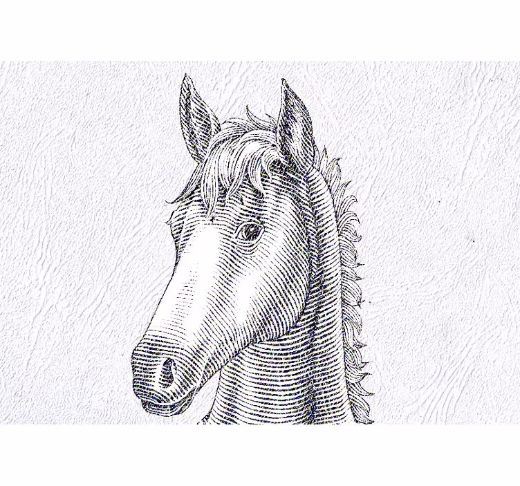 Fotomurale animali ritratto di cavallo elegante - TenStickers
