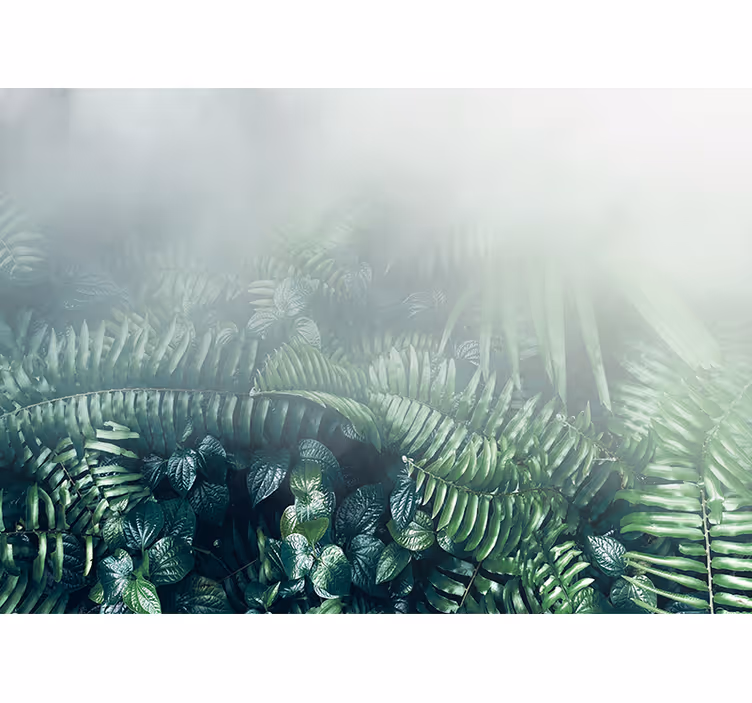 Fotomurali natura paesaggio di verde vivace - TenStickers