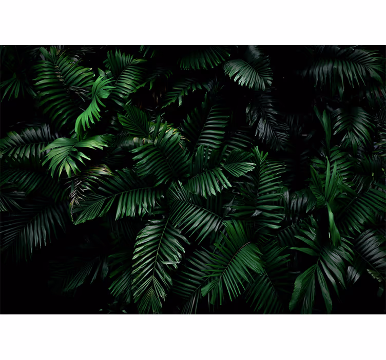 Carta da parati giungla foliame verde vivace - TenStickers