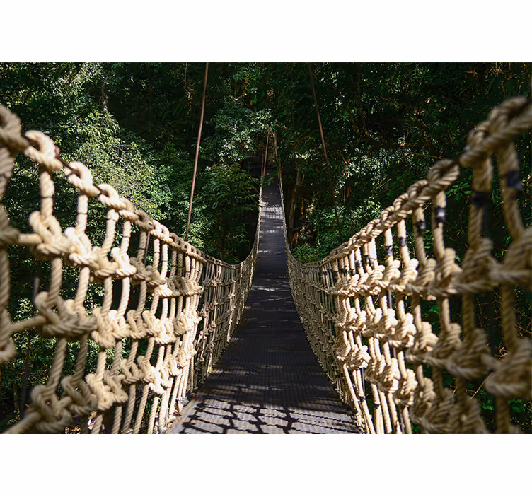 Fotomurali natura sentiero forestale sospeso - TenStickers
