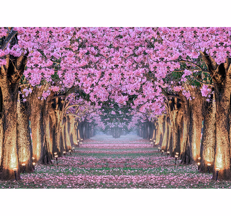 Fotomurale fiori sentiero dei sakura - TenStickers