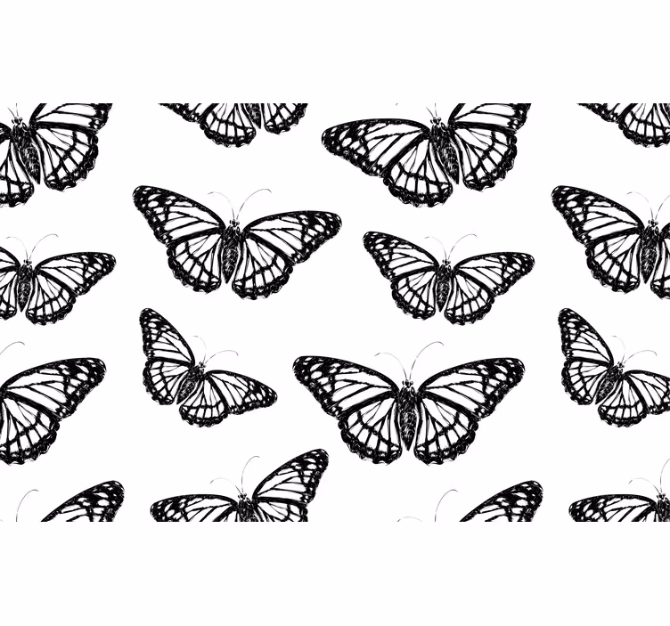 Fotomurale animali eleganti farfalle nere - TenStickers