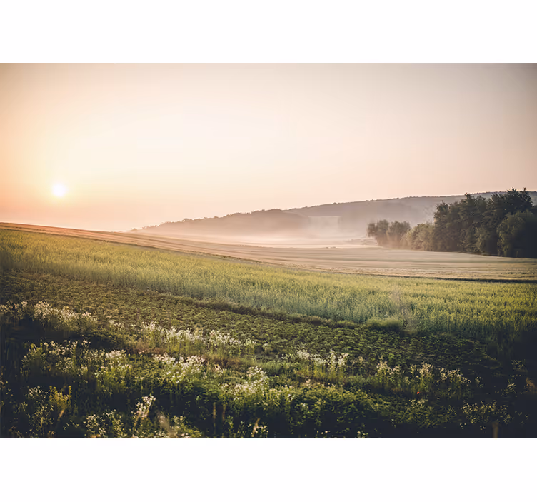 Fotomurale paesaggi prati verdi tranquilli - TenStickers
