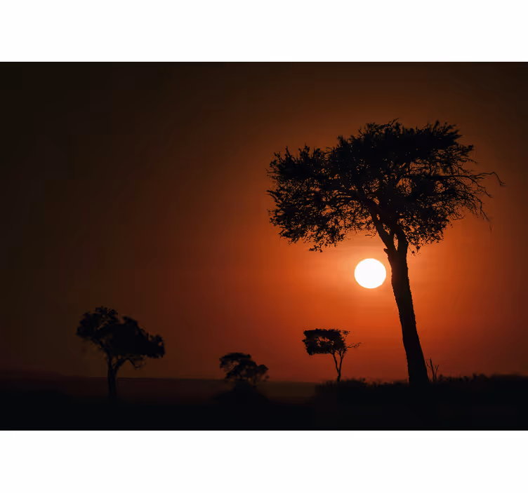 Fotomurale paesaggi scena tramonto silhouette - TenStickers