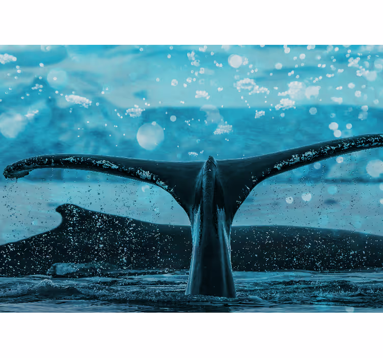 Fotomurale animali spruzzo di pinna di balena - TenStickers