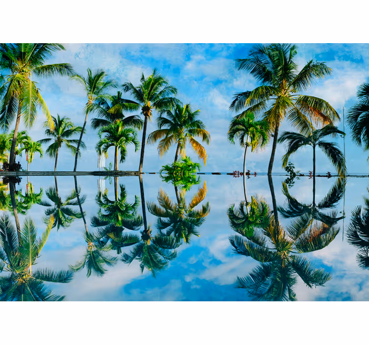 Fotomurali natura riflessi di palme lussureggianti - TenStickers