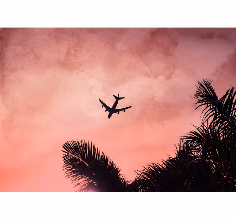 Fotomurale veicoli sagoma di aereo al tramonto - TenStickers