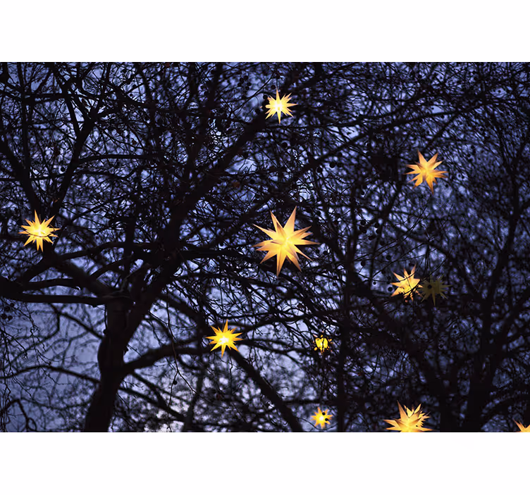Fotomurale di natale notte stellata dorata - TenStickers