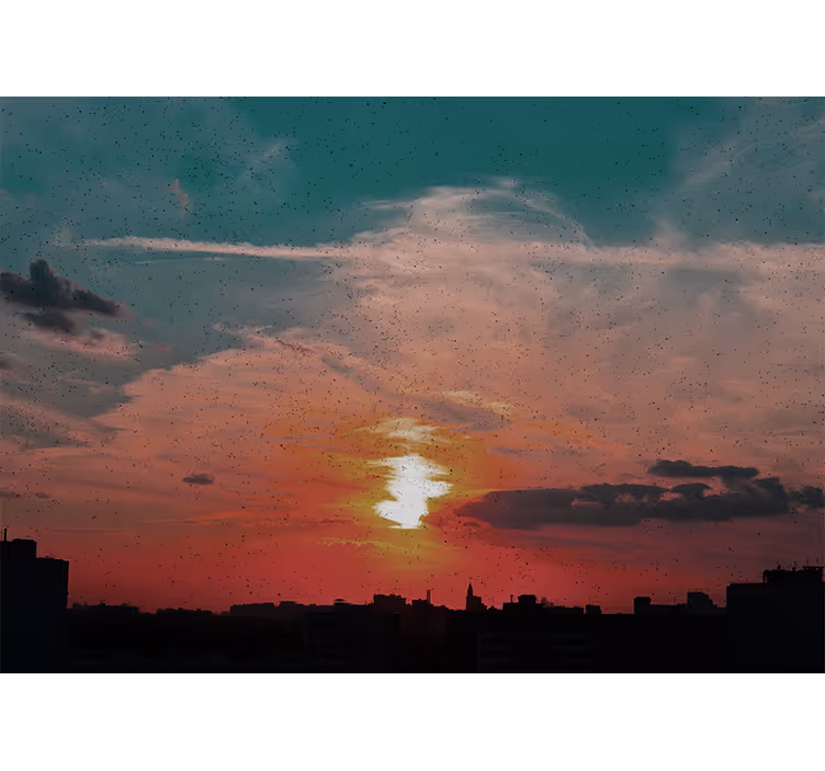 Fotomurale paesaggi tramonto sulla città - TenStickers