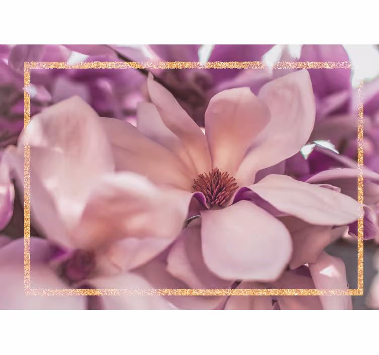 Fotomurale fiori close-up di fiori di magnolia - TenStickers