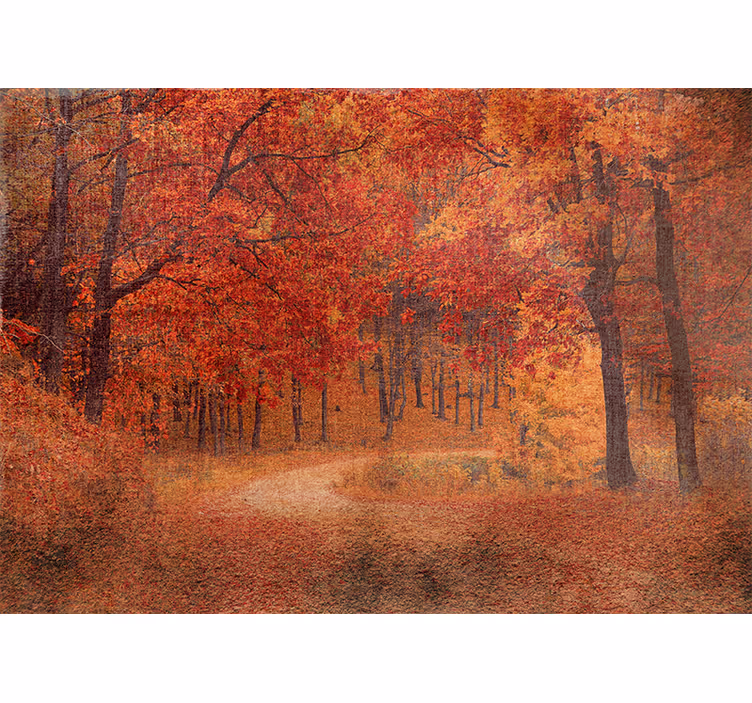 Fotomurali natura sentiero autunnale rustico - TenStickers