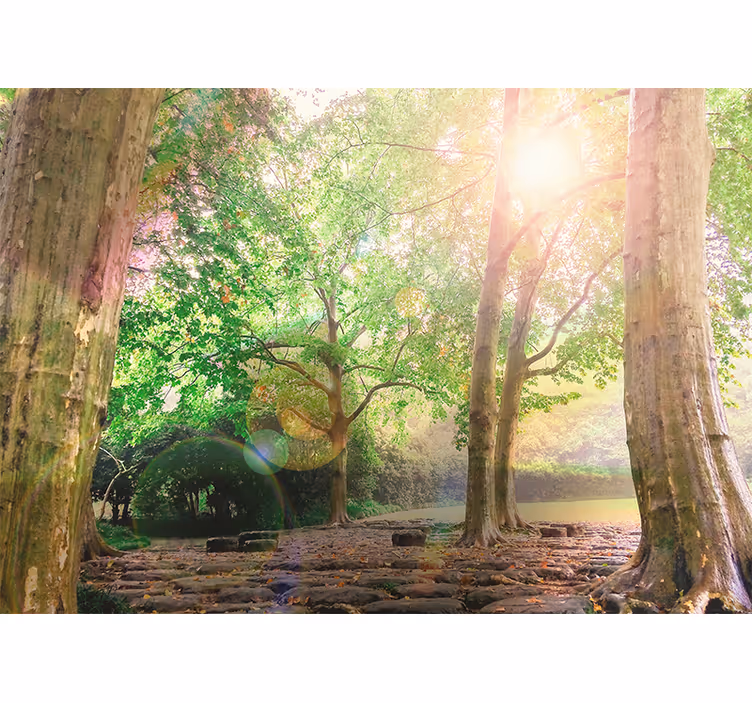 Fotomurali natura serenità di verde lussureggiante - TenStickers
